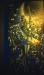 Ballerina en Pointe by Bel-Jon with colored lights